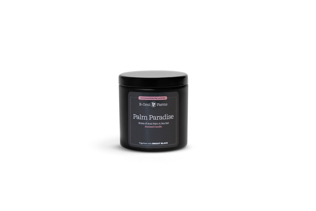 Palm Paradise Scented Candle - 3.4oz